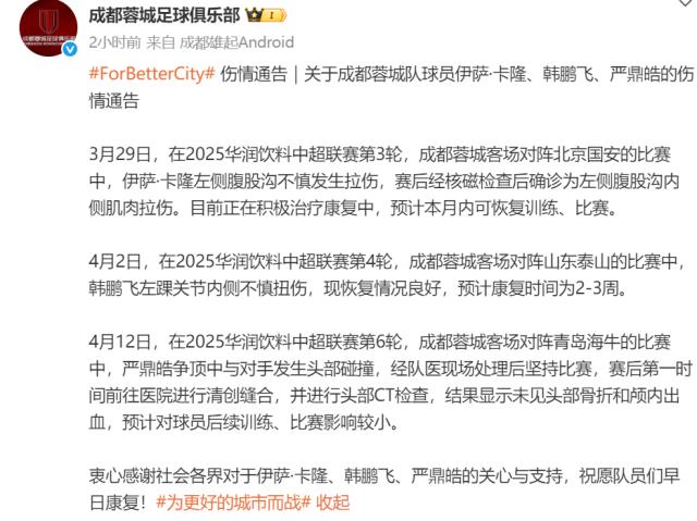 开云体育官网-蓉城公布卡隆韩鹏飞严鼎皓伤情 韩鹏飞将缺2-3周
