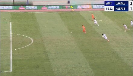 泽卡.gif